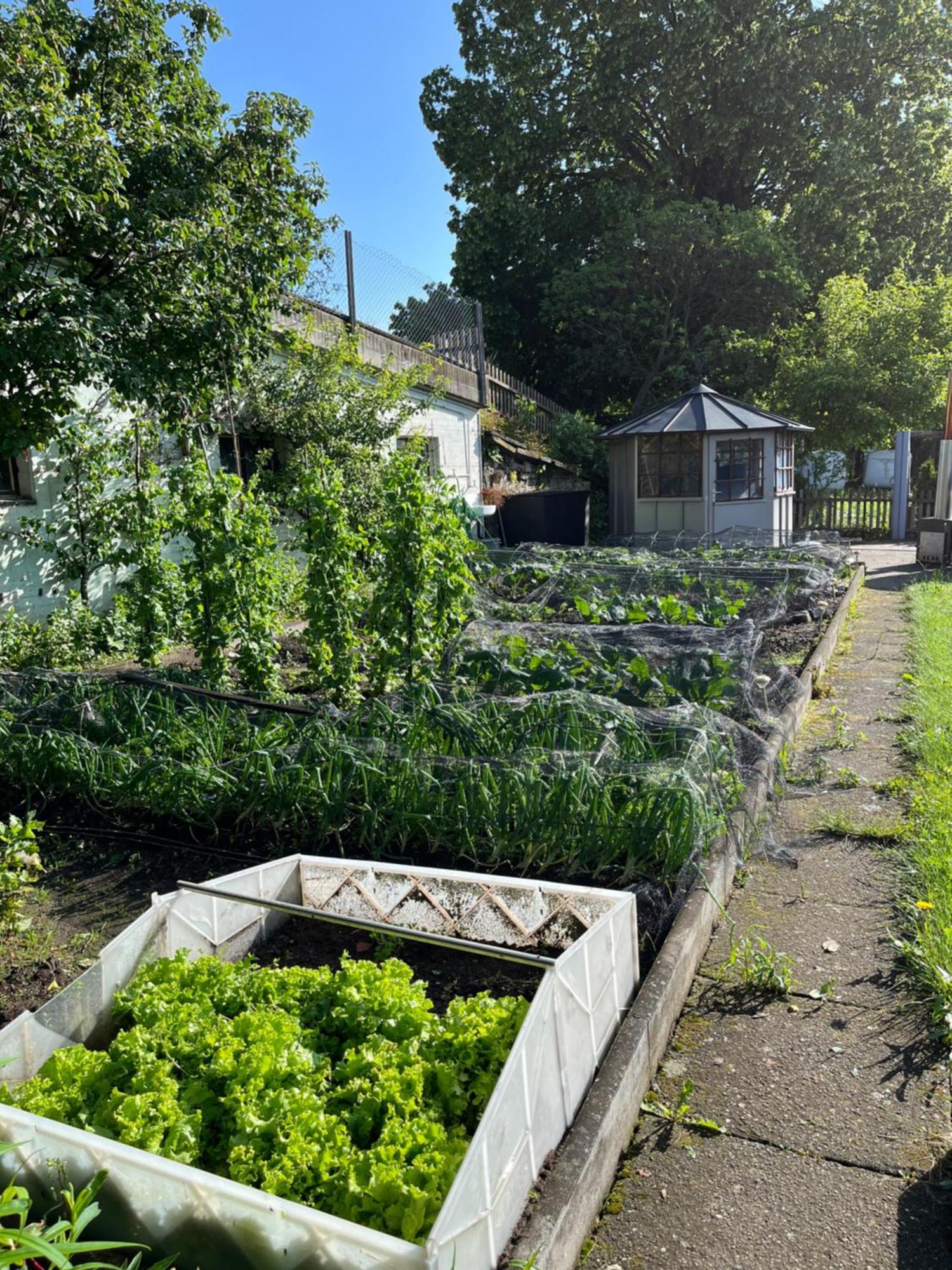 Ferienwohnung Auf Bauernhof Mit Hotpot Und Sauna Sumiswald Экстерьер фото